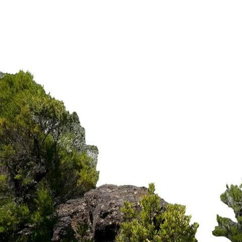 montana-primera-1536x1024