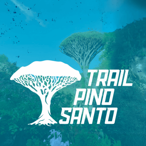 trail_pino_santo2025_1010