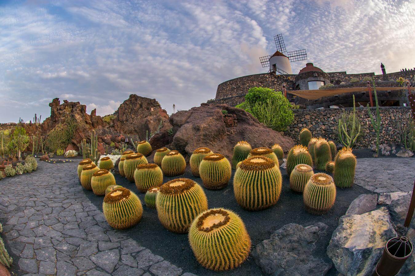 Jardín de Cactos. Lanzarote