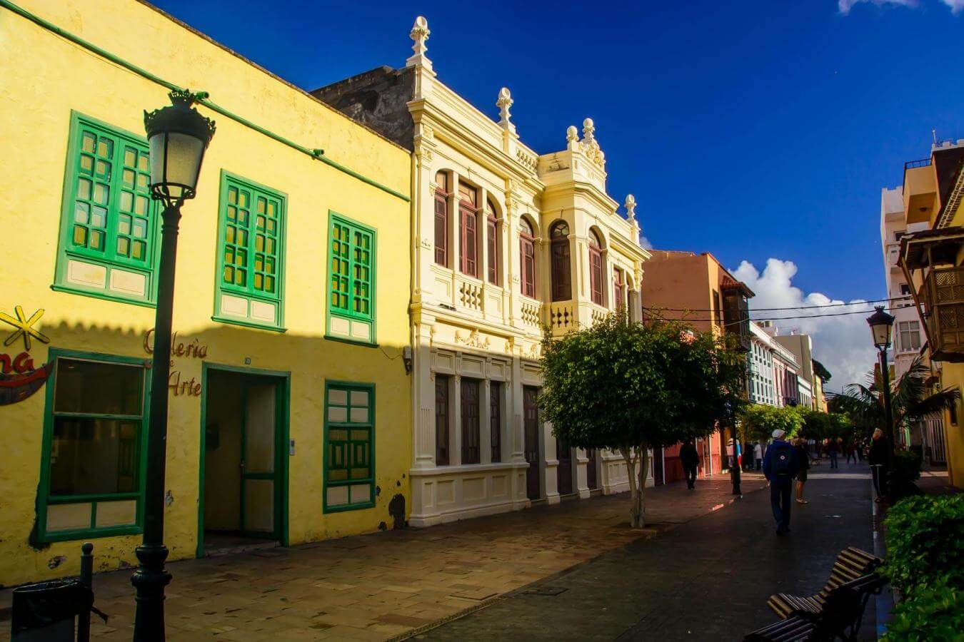 Ruta en coche por el norte de La Gomera - galeria2