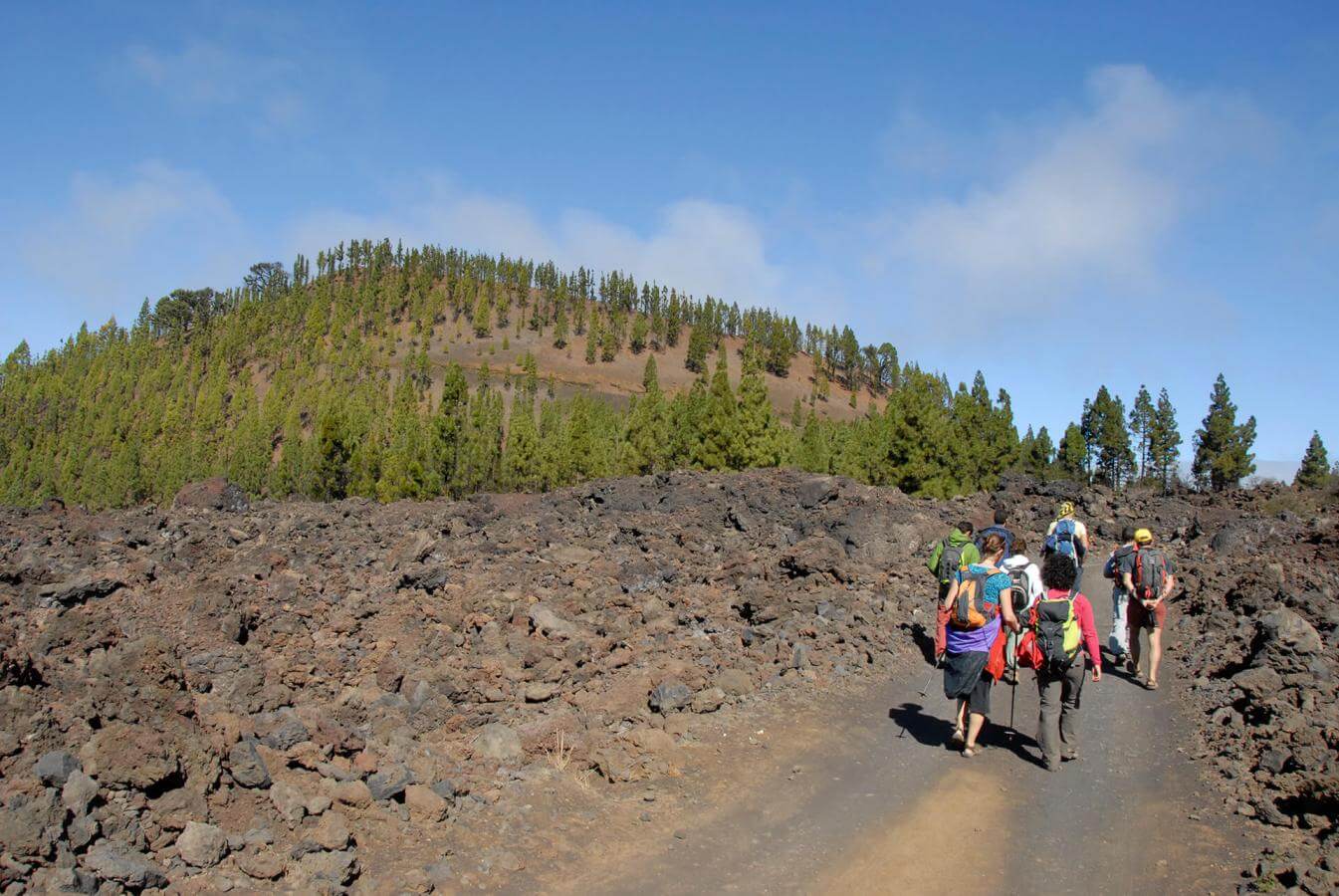 Excursión al Teide y La Orotava - galeria4