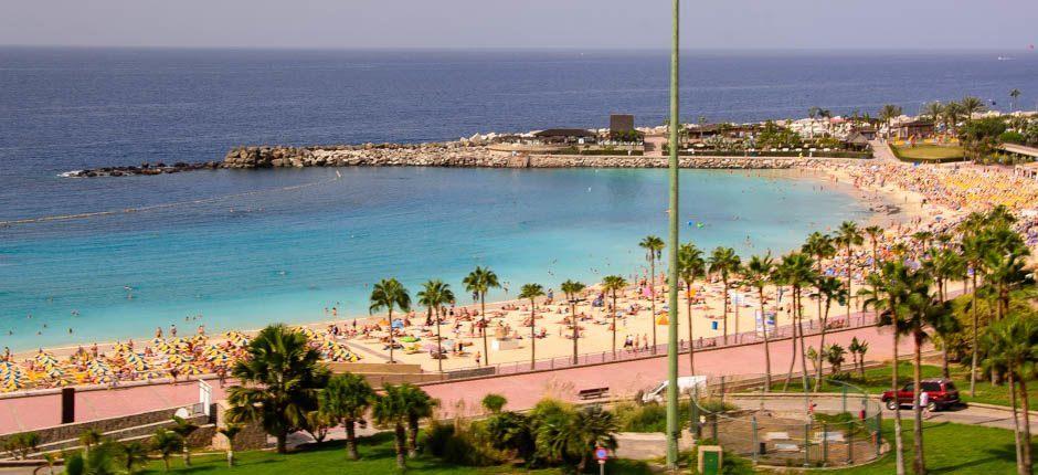 Praia de Amadores Praias populares de Gran Canaria