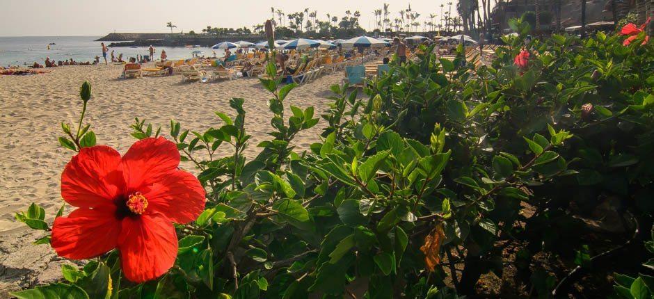 Anfi del Mar + Praias para crianças de Gran Canaria