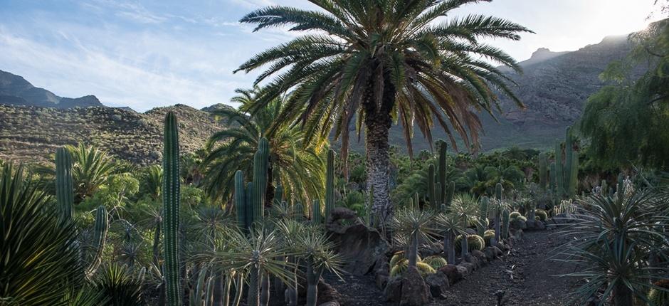 Cactualdea Park Museus e centros turísticos de Gran Canaria