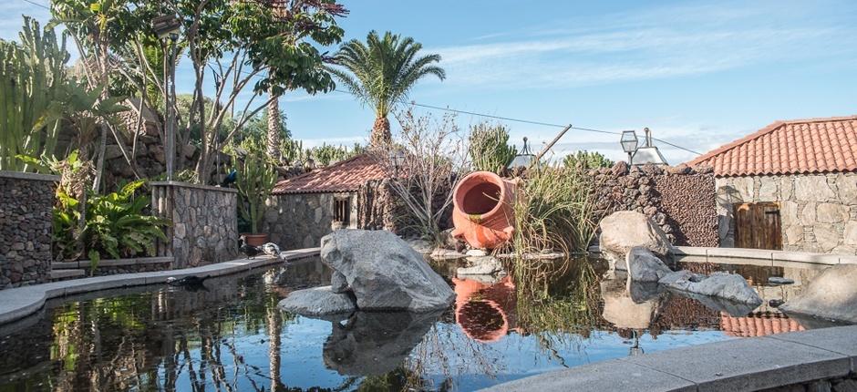 Cactualdea Park Museus e centros turísticos de Gran Canaria