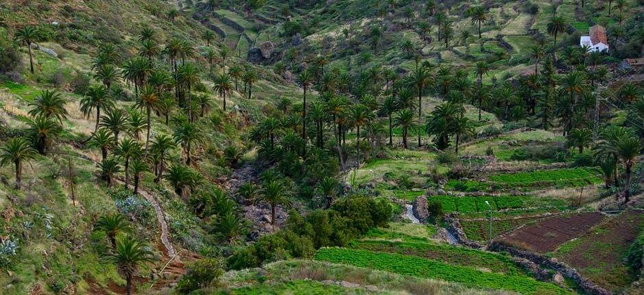 Imada Casarios de La Gomera