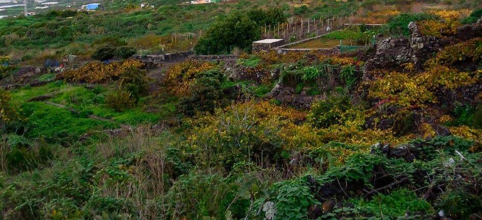 Los Llanillos Casarios de El Hierro