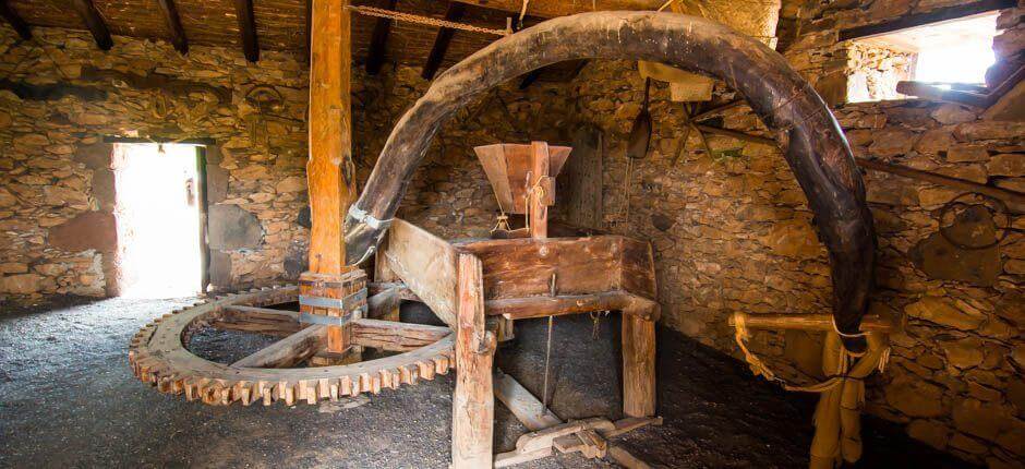 Ecomuseo de La Alcogida (Ecomuseu de la Acogida) Museus en Fuerteventura