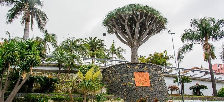 El Sauzal lugares com encanto de Tenerife 