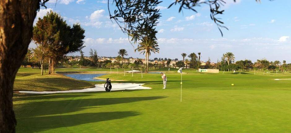 Golf Cllub Fuerteventura + Campos de golfe de Fuerteventura