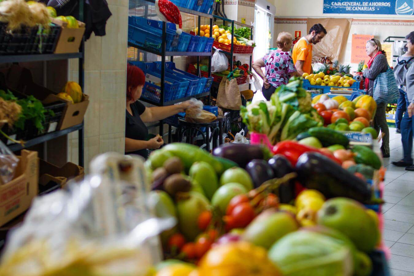 Mercadillo Villa de Mazo