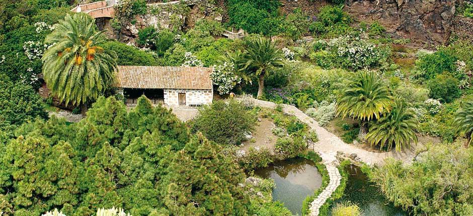 Jardín Botánico Viera y Clavijo (Jardim Botânico Viera y Clavijo) Museus e centros turísticos de Gran Canaria