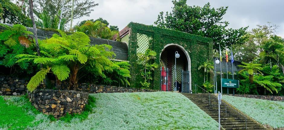 Jardín de Aclimatación de La Orotava (Jardim Botânico) Museus e centros turísticos de Tenerife