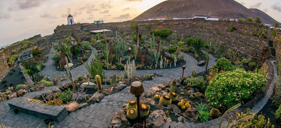 Jardín de Cactus (Jardim de Catos) Museus e centros turísticos de Lanzarote