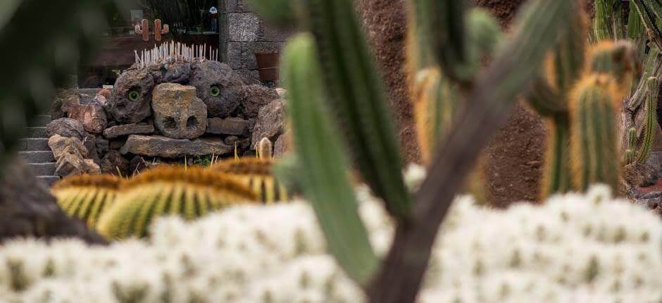 Jardín de Cactus (Jardim de Catos) Museus e centros turísticos de Lanzarote