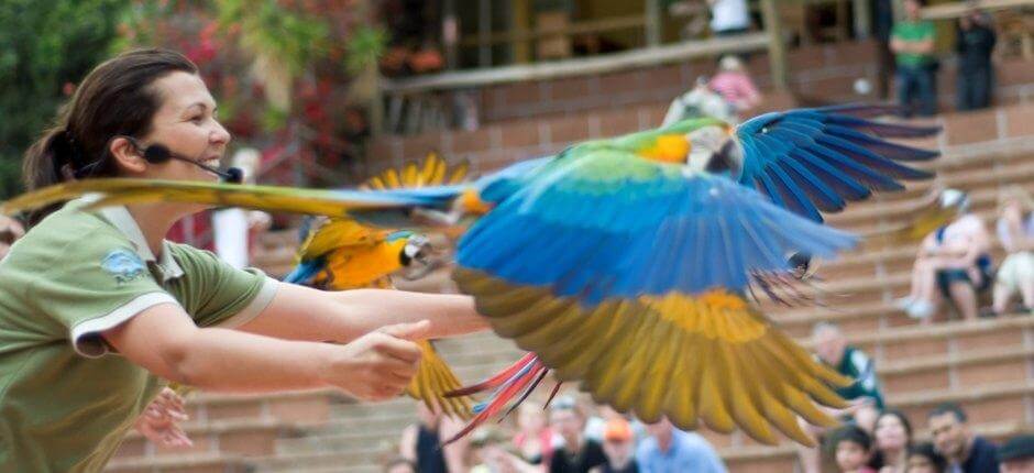 Jungle Park + Jardins zoológicos de Tenerife