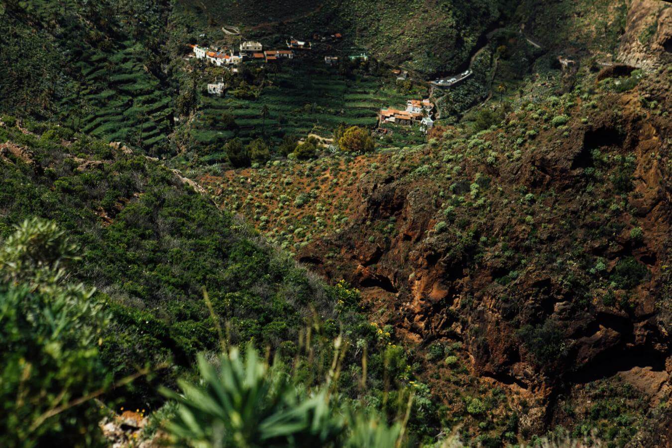 Reserva Natural Integral de Benchijigua