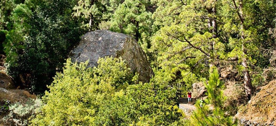 Caldera de Taburiente + Veredas de La Palma