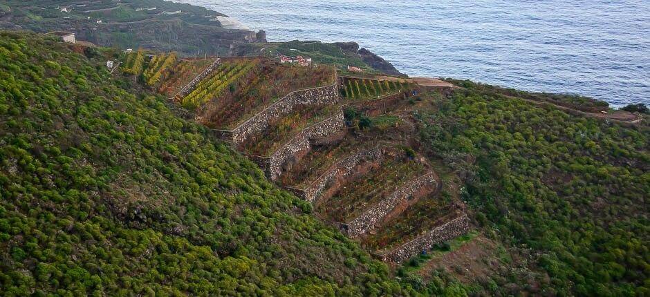 La Galga casarios de La Palma