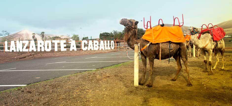 Lanzarote a Caballo Atrações turísticas de Lanzarote