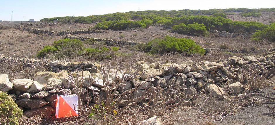 El Bosquecillo. Orientación de Lanzarote