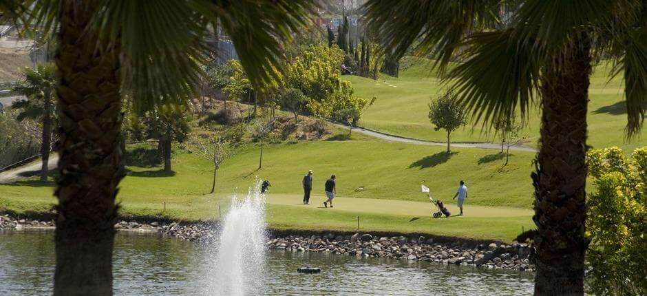 Las Palmeras Golf + campos de golf de Gran Canaria