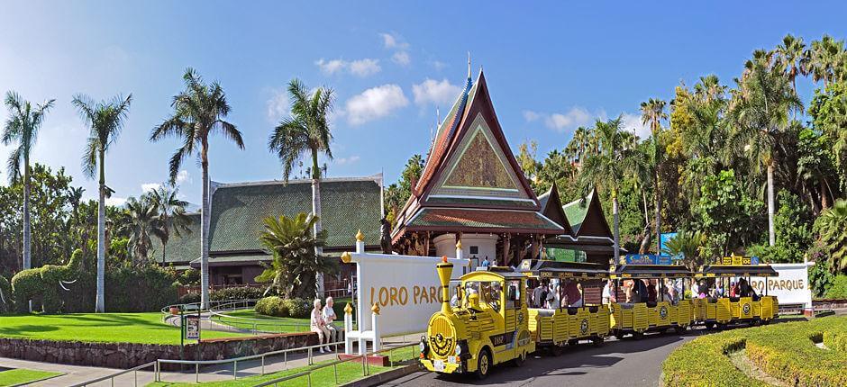 Loro Parque + Jardins zoológicos em Tenerife