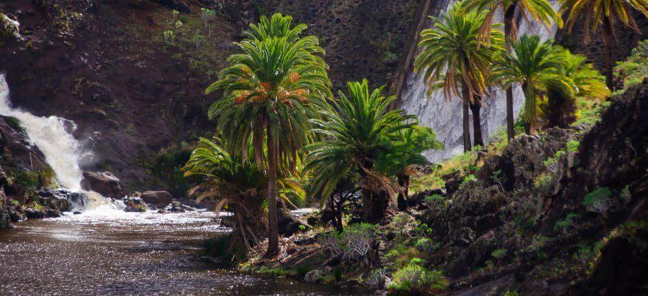 Chejelipes casarios de La Gomera