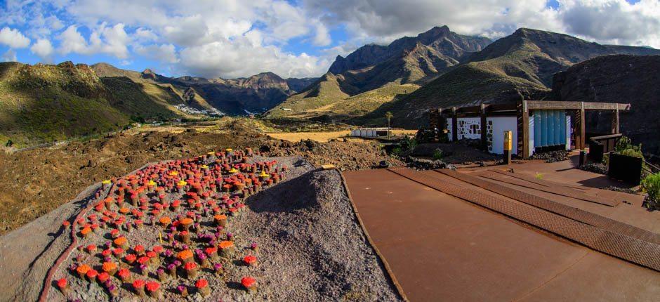 Maipés de Agaete Museus e centros turísticos en Gran Canaria