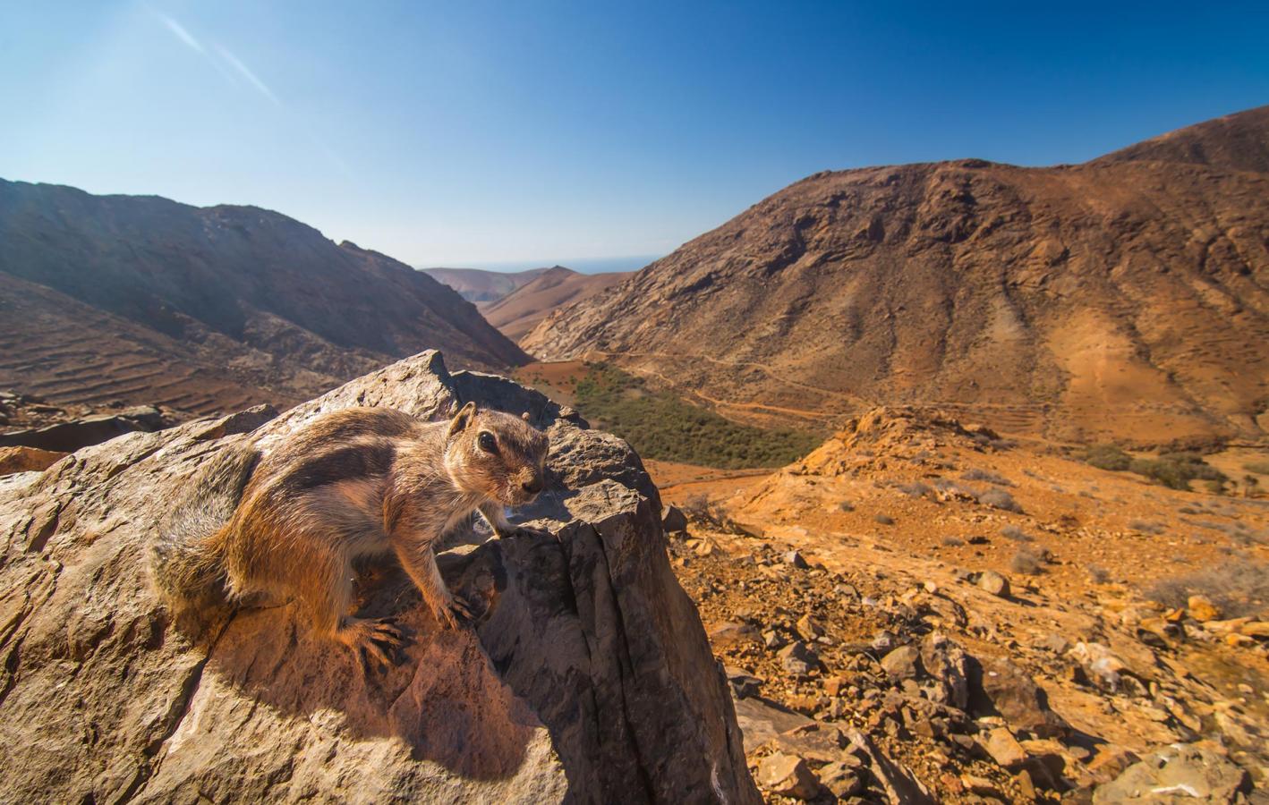 Mirador Las Peñitas - galeria1