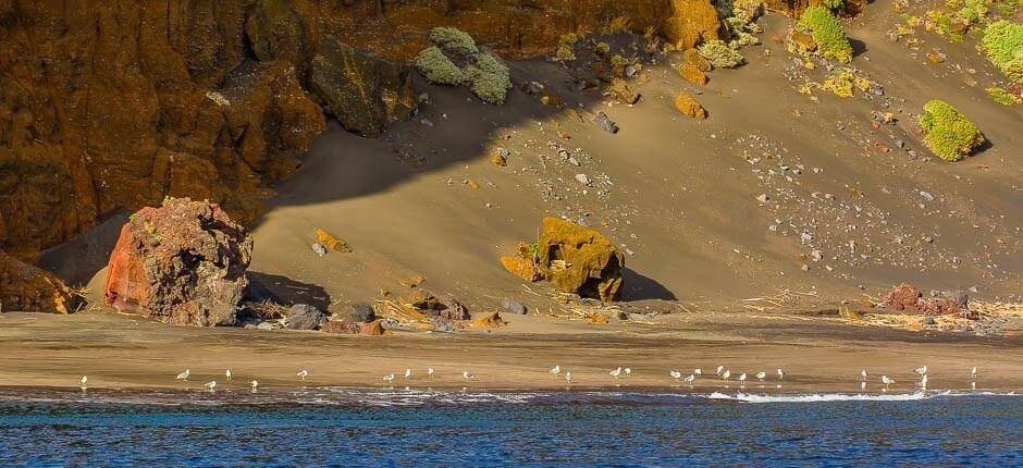 Praia de Antequera + Praias virgens