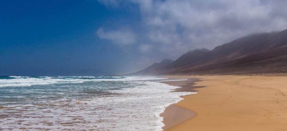 Praia de Cofete + Praias virgens de Fuerteventura