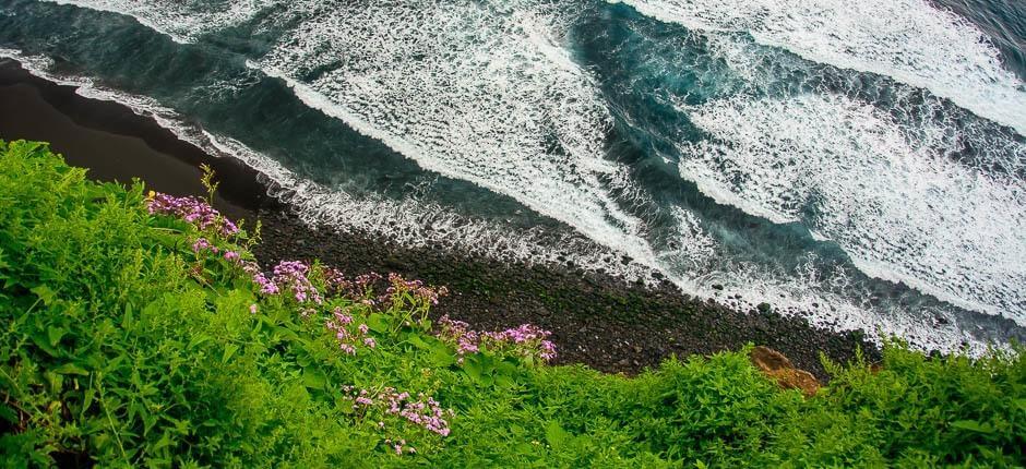 Praia de Los Patos + Praias virgens de Tenerife