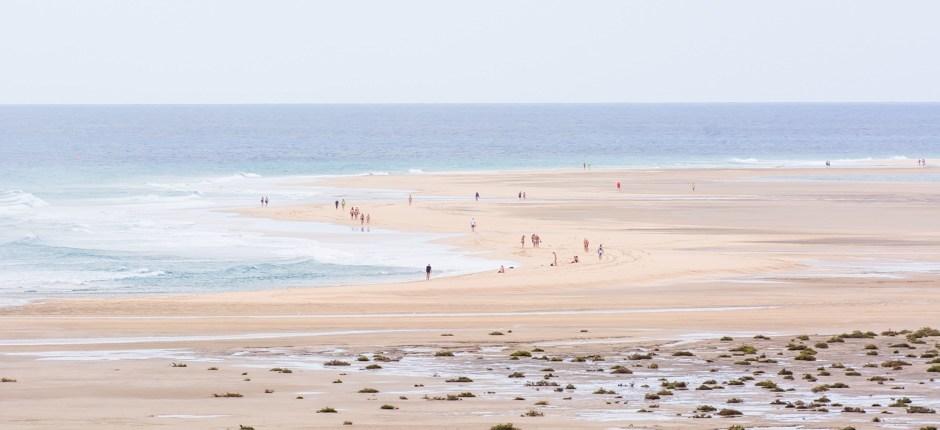 Praia de Sotavento + Praias virgens de Fuerteventura