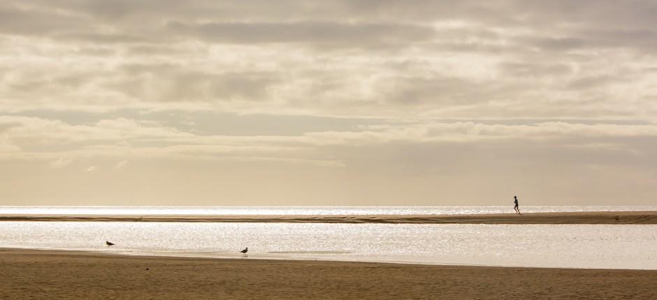 Praia de Sotavento + Praias virgens de Fuerteventura