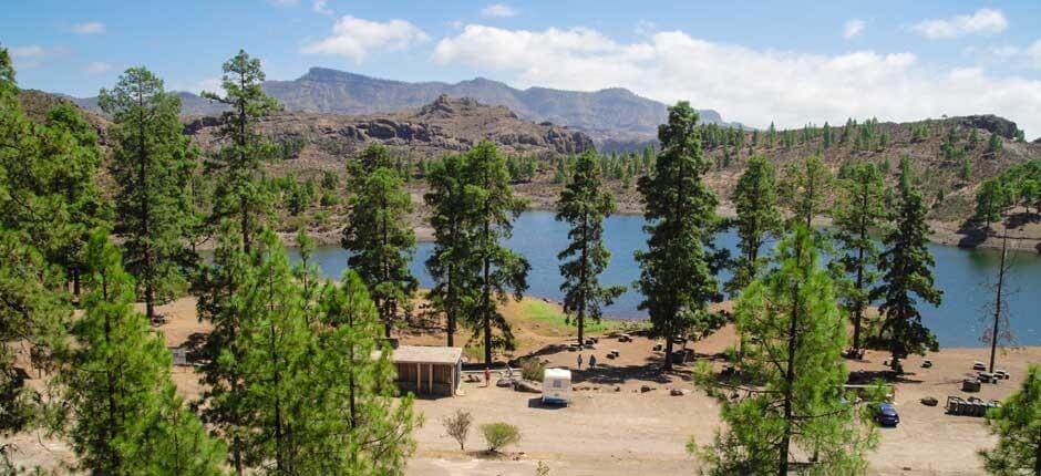 Presa de Las Niñas Espacios naturales de Gran Canaria