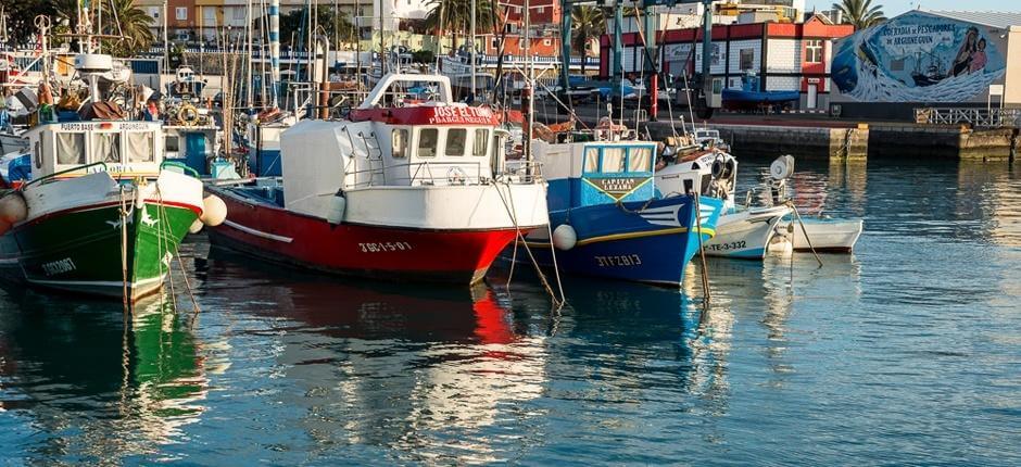 Porto de Arguineguin + Marina e portos de recreio de Gran Canaria