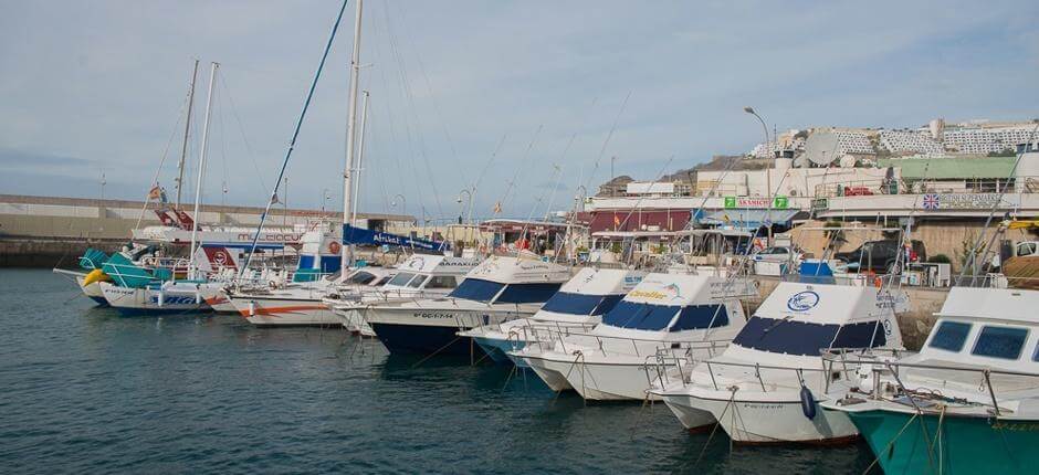 Porto de recreio de Puerto Rico + Marinas e porto de recreio de Gran Canaria  