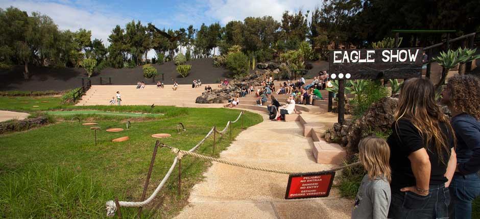 Rancho Texas Lanzarote Park + Jardins zoológicos de Lanzarote 