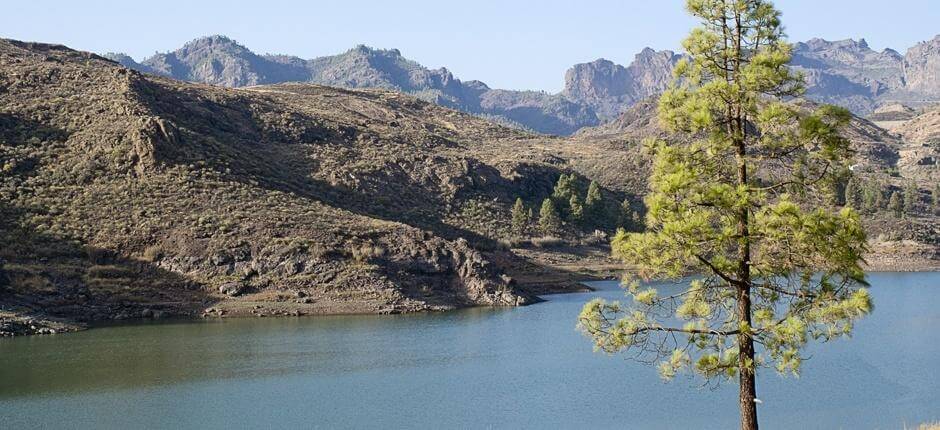 Caminhadas em Ruta de las Presas Caminhadas em Gran Canária