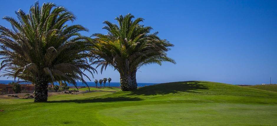 Golf Club Salinas de Antigua + Campos de golfe de Fuerteventura