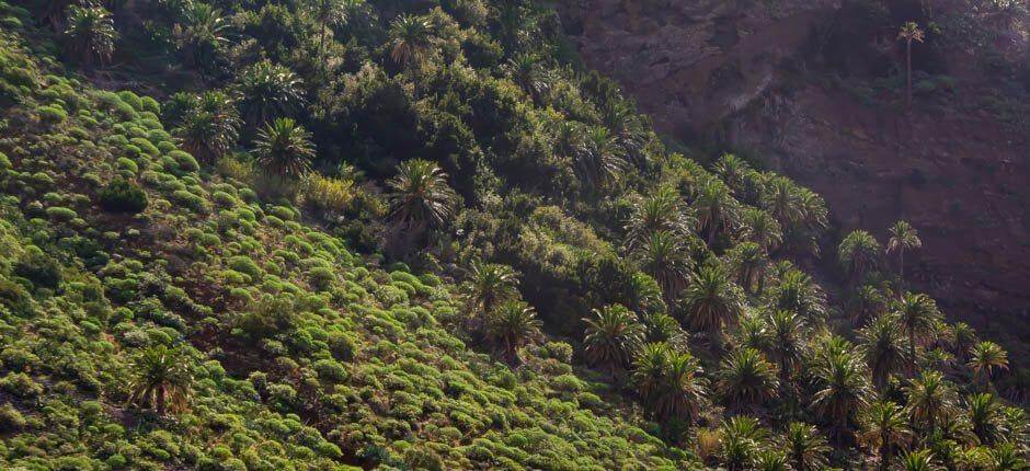 Taguluche Casarios de La Gomera