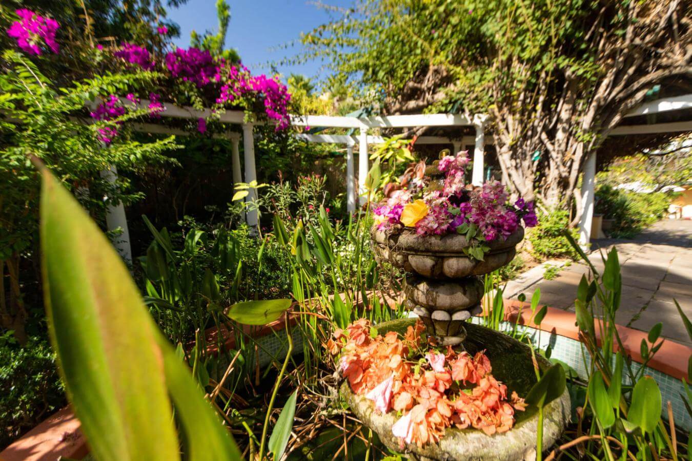 Jardín de Orquídeas Sitio Litre