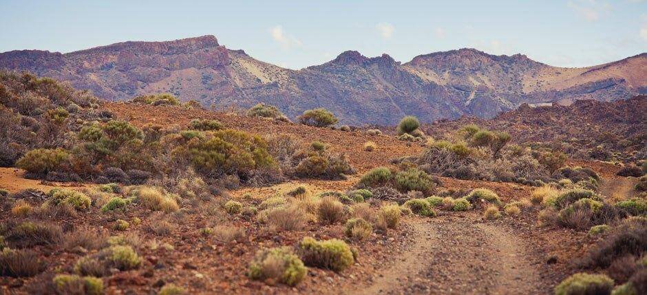 Percurso de Trail Running em Tenerife + Percursos de Trail Running