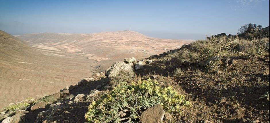 Vallebrón + Veredas de Fuerteventura