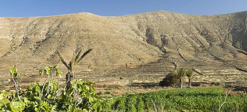 Vallebrón + Veredas de Fuerteventura